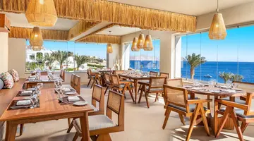 Double Tree By Hilton Sharks - Beach Side