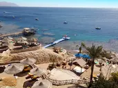 Double Tree By Hilton Sharks - Beach Side