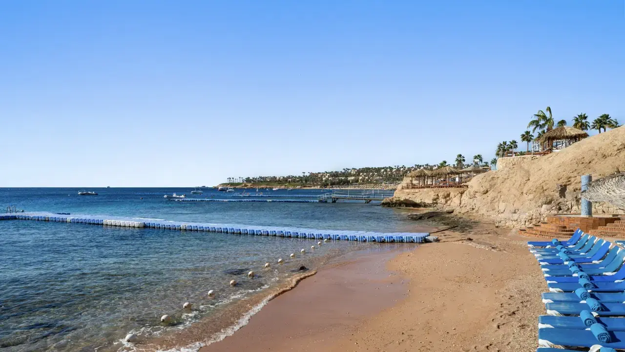 Doubletree By Hilton Sharks Bay (Beach S