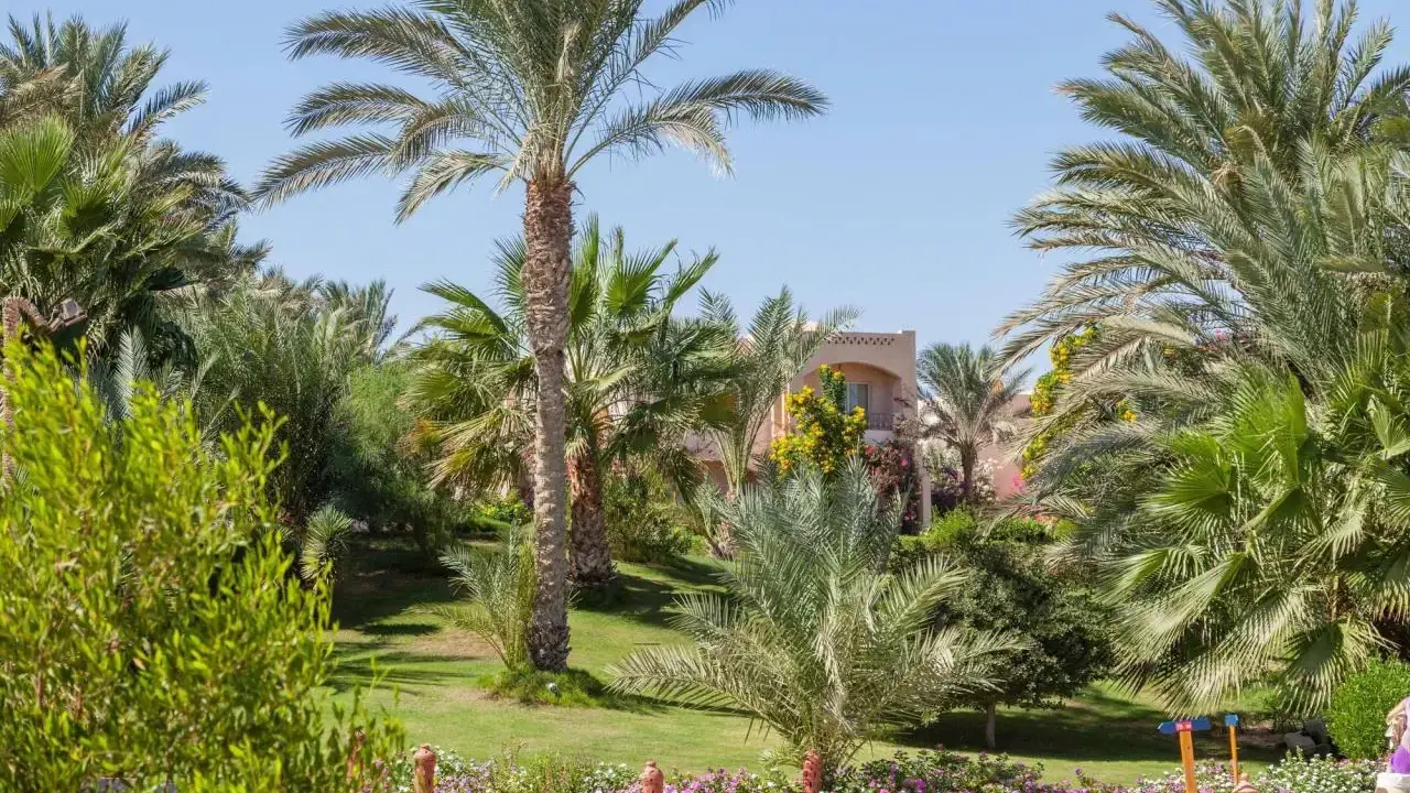 DREAM LAGOON & AQUA PARK- RESORT
