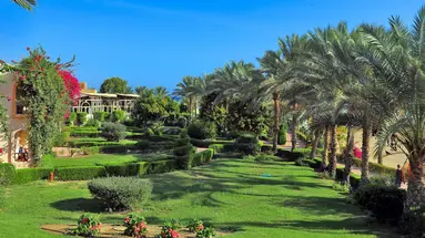 Dream Lagoon & Aquapark Resort