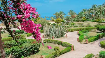 Dream Lagoon & Aquapark Resort