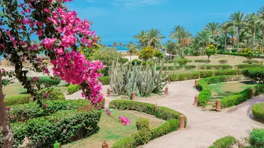 Dream Lagoon & Aquapark Resort