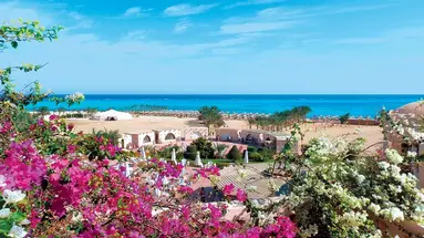 Dream Lagoon & Aquapark Resort