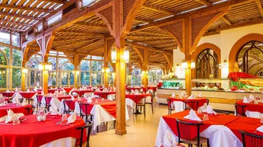 Dream Lagoon & Aquapark Resort