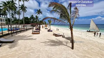 Dream of Zanzibar