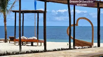Dream of Zanzibar