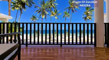Dream of Zanzibar
