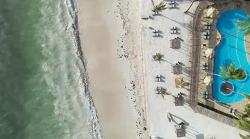 Dream of Zanzibar