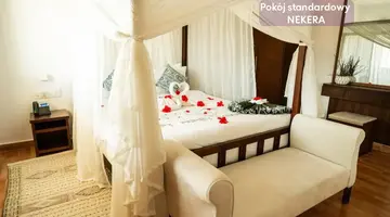 Dream of Zanzibar
