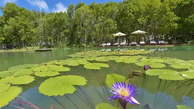 Dreamland - The Unique Sea & Lake Resort Spa