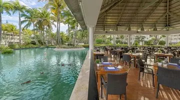 Dreams FLORA RESORT & SPA