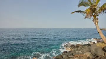 DREAMS JARDIN TROPICAL RESORT & SPA