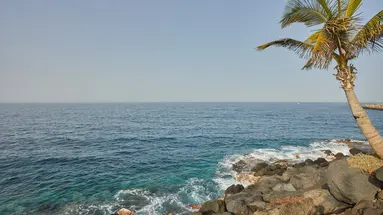 DREAMS JARDIN TROPICAL RESORT & SPA