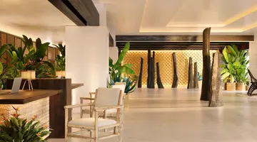 Dreams Jardin Tropical