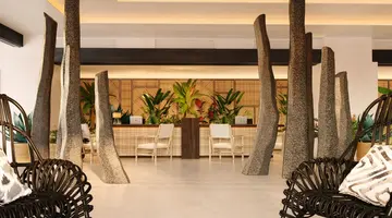 Dreams Jardin Tropical