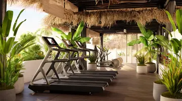 Dreams Jardin Tropical