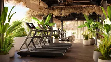 Dreams Jardin Tropical