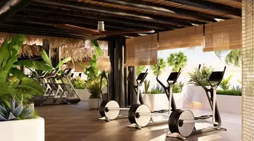 Dreams Jardin Tropical