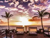 Dreams Jardin Tropical