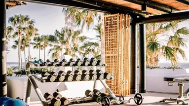 Dreams Jardin Tropical