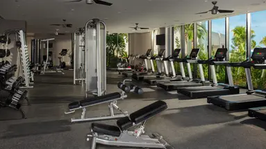Dreams Natura Resort & Spa