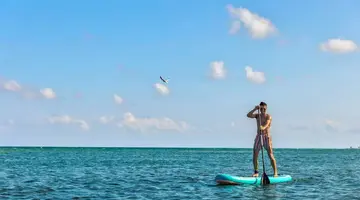Dreams Puerto Morelos Resort & Spa (ex. Hyatt Ziva Riviera Maya)