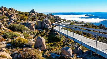 Duet Idealny: Australia I Tasmania