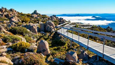 Duet Idealny: Australia I Tasmania