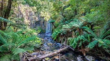 Duet Idealny: Australia I Tasmania