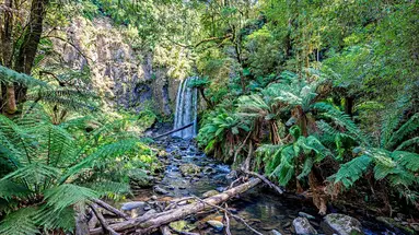 Duet Idealny: Australia I Tasmania