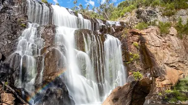 Duet Idealny: Australia I Tasmania