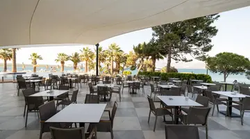 DUJA DIDIM