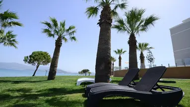 DUJA DIDIM