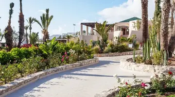 Dunes D’Or Ocean Club