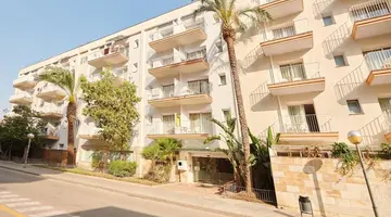 Dwo Les Palmeres