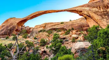 Dzika przyroda USA: od Yellowstone po Arches