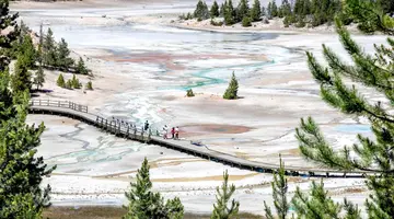 Dzika przyroda USA: od Yellowstone po Arches