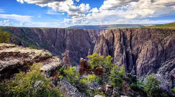 Dzika przyroda USA: od Yellowstone po Arches