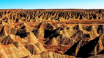 Dzika przyroda USA: od Yellowstone po Arches