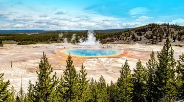 Dzika przyroda USA: od Yellowstone po Arches