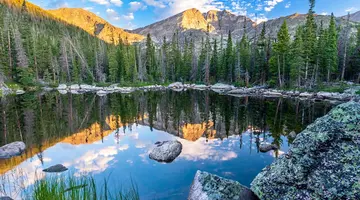 Dzika przyroda USA: od Yellowstone po Arches