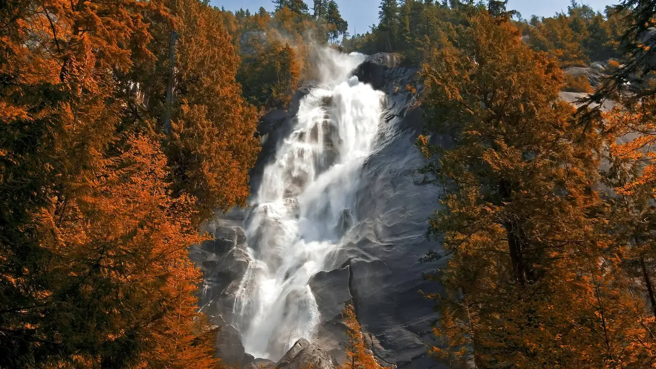 Dziki majestat natury