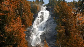 Dziki majestat natury