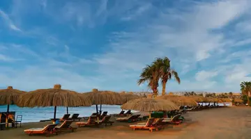 EAGLES DOWN TOWN ZAHABIA RESORT