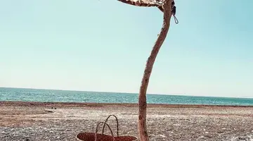 Eco Beach and Magic Garden