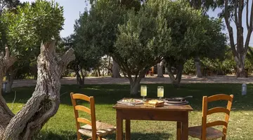 Eco Beach and Magic Garden