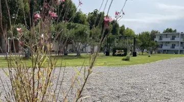 Eco Beach and Magic Garden