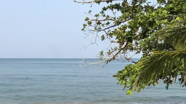 EDEN BEACH KHAO LAK RESORT & SPA