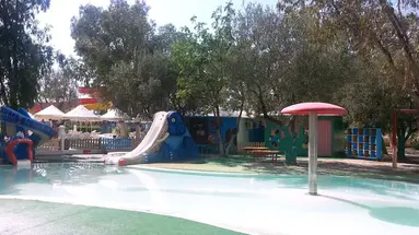 EDEN CLUB